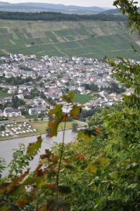 Ausblick auf das Moseltal