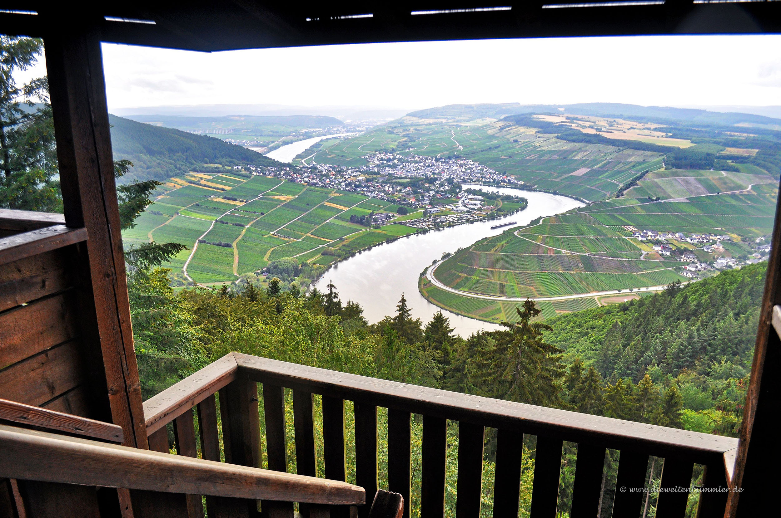 Ausblick vom Turm Fünfseenblick