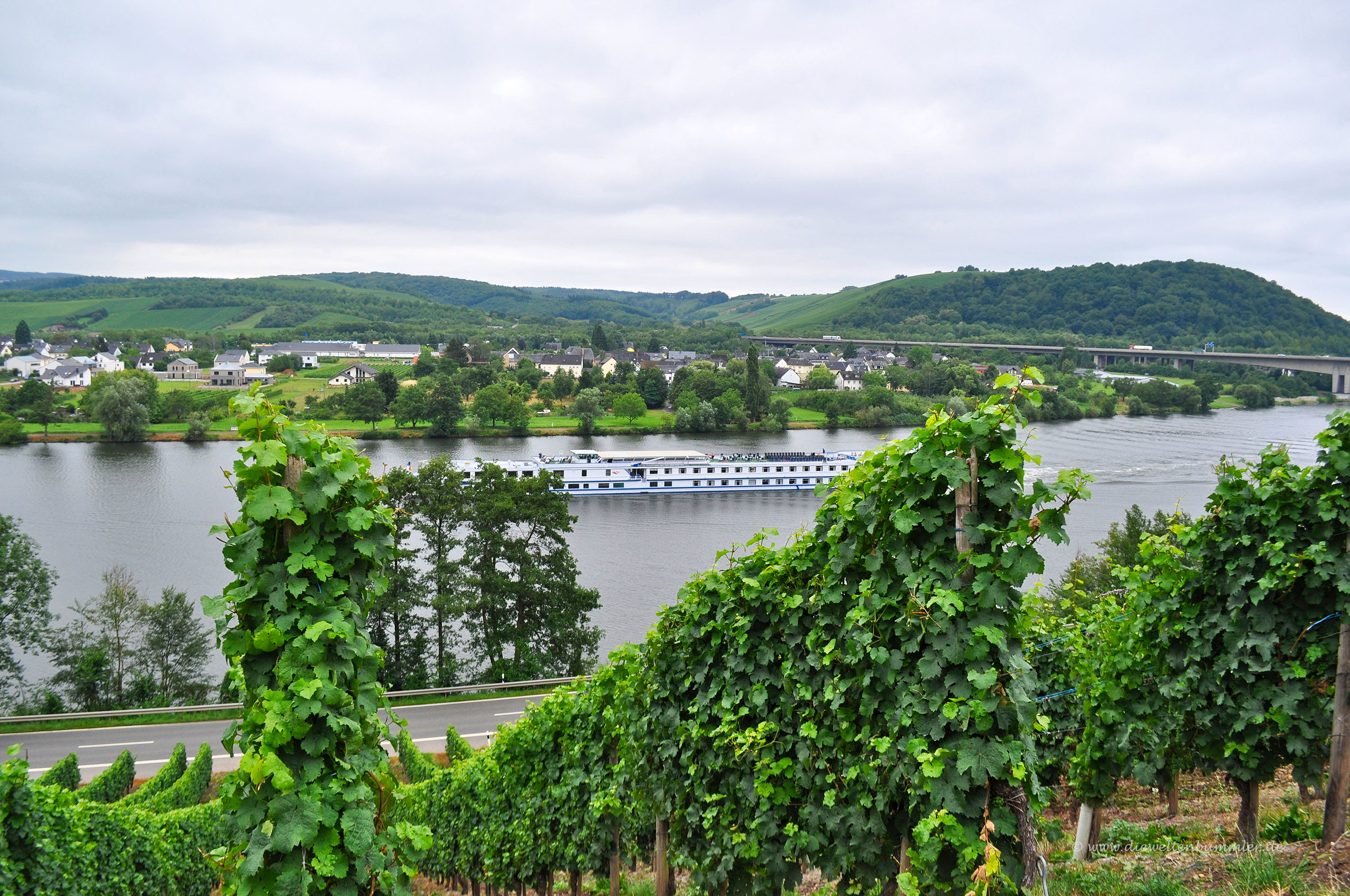 Ausflugsschiff auf der Mosel