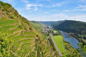Der steilste Weinberg Europas