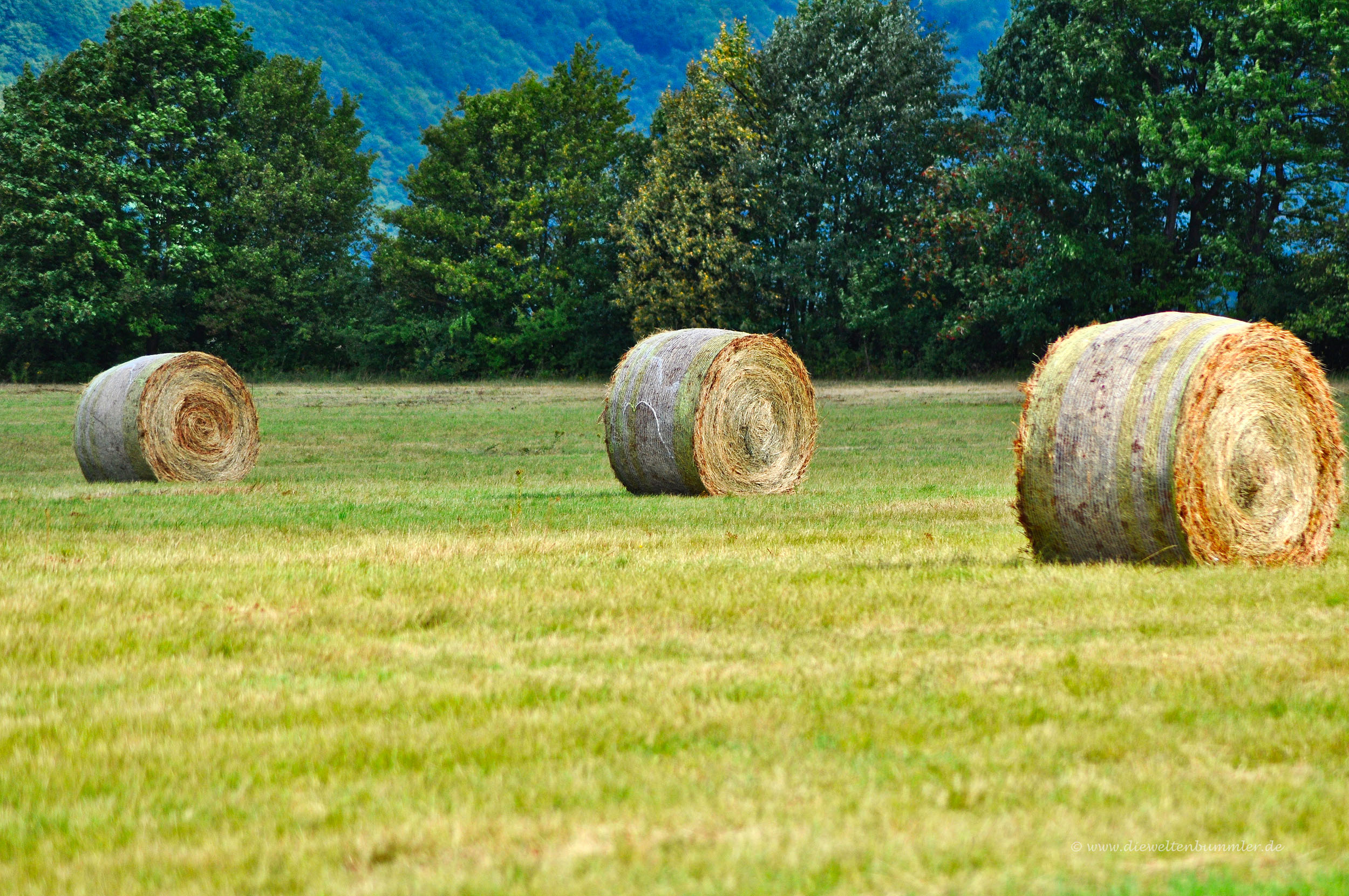 Heuballen kündigen den Herbst an