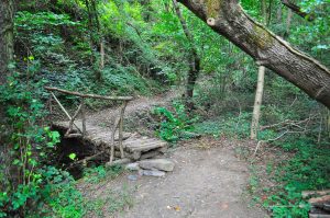 Holzbrücke im Dortebachtal