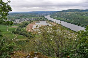 Mosel bei Riol