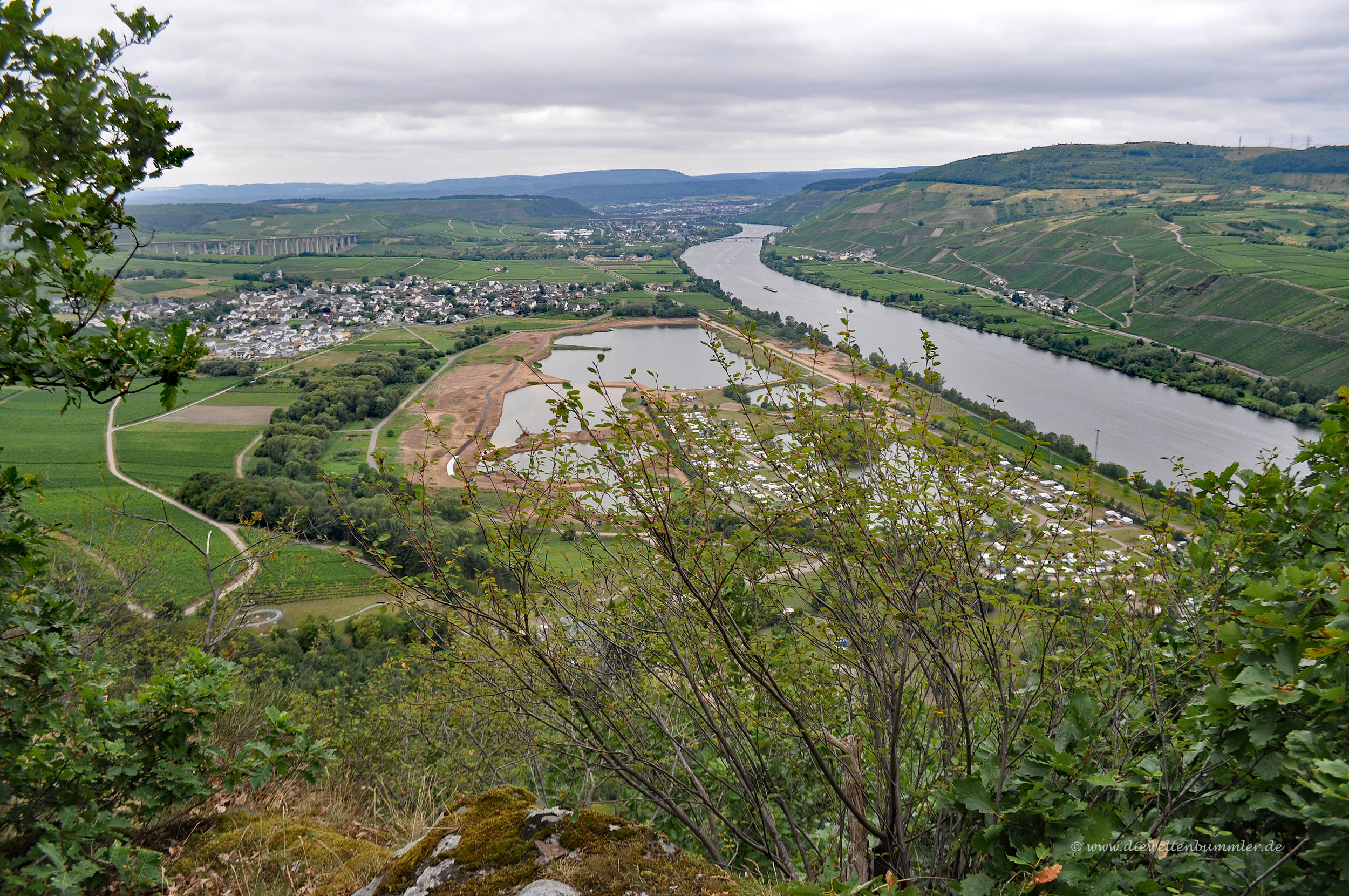 Mosel bei Riol