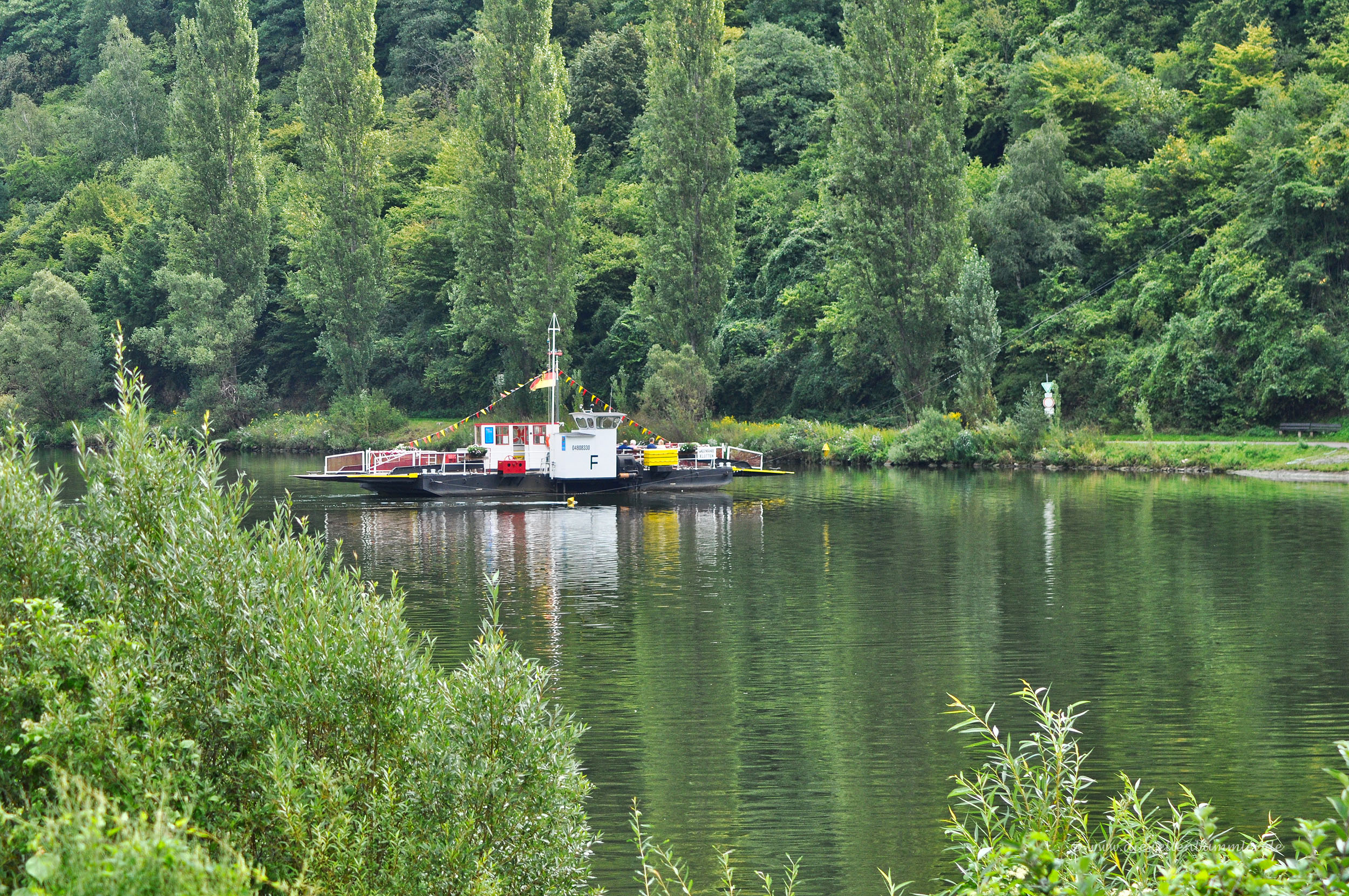 Moselfähre bei Klotten