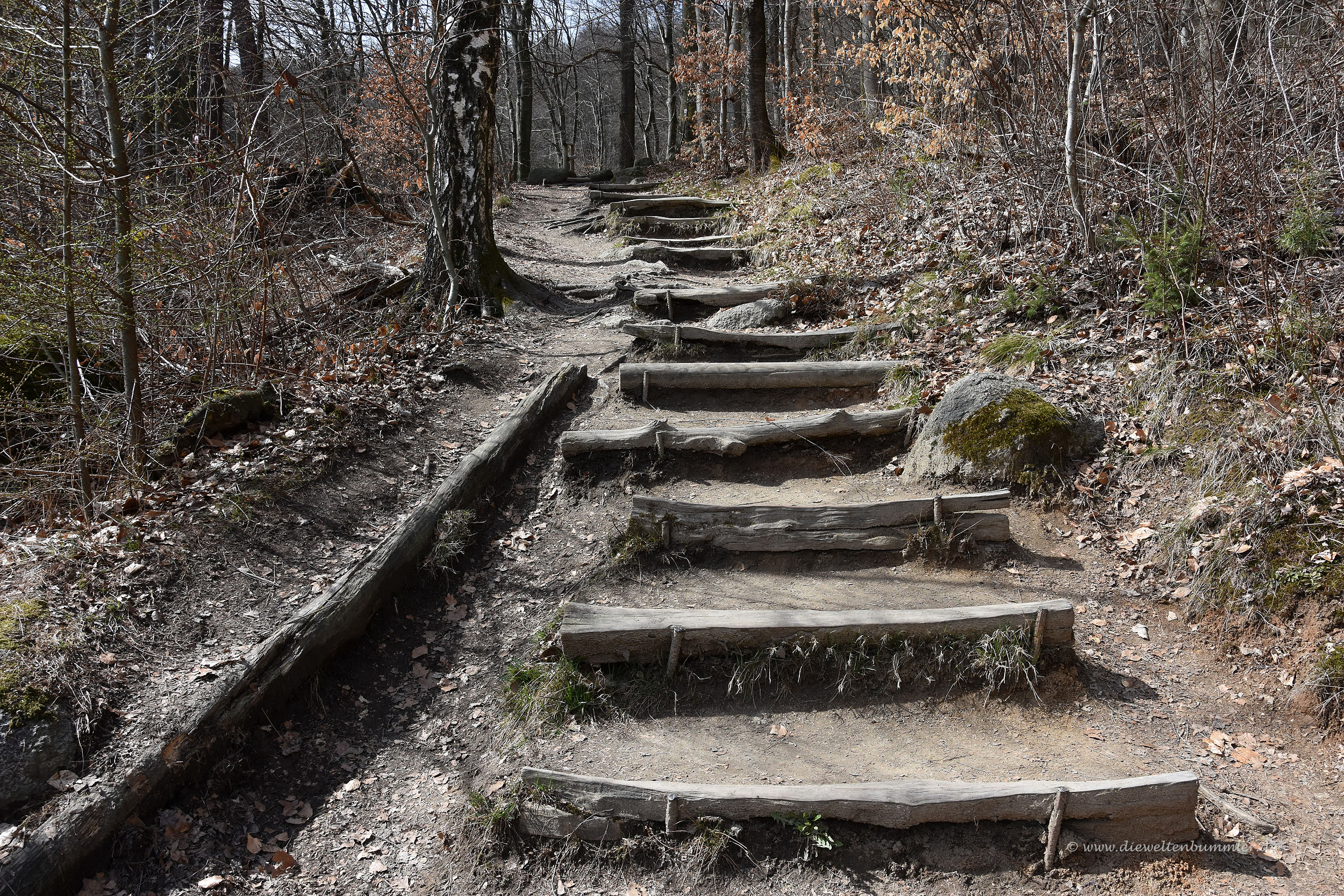 Normaler Wanderweg durch den Wald