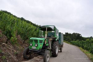 Traktor eines Winzers