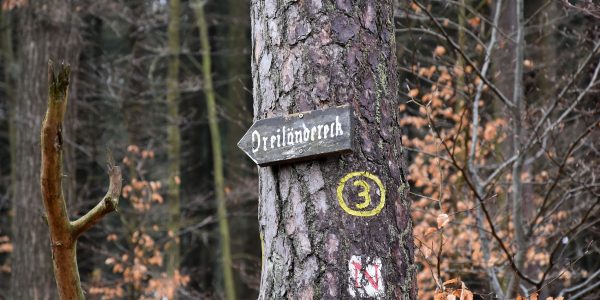 Waldweg zum Dreiländereck