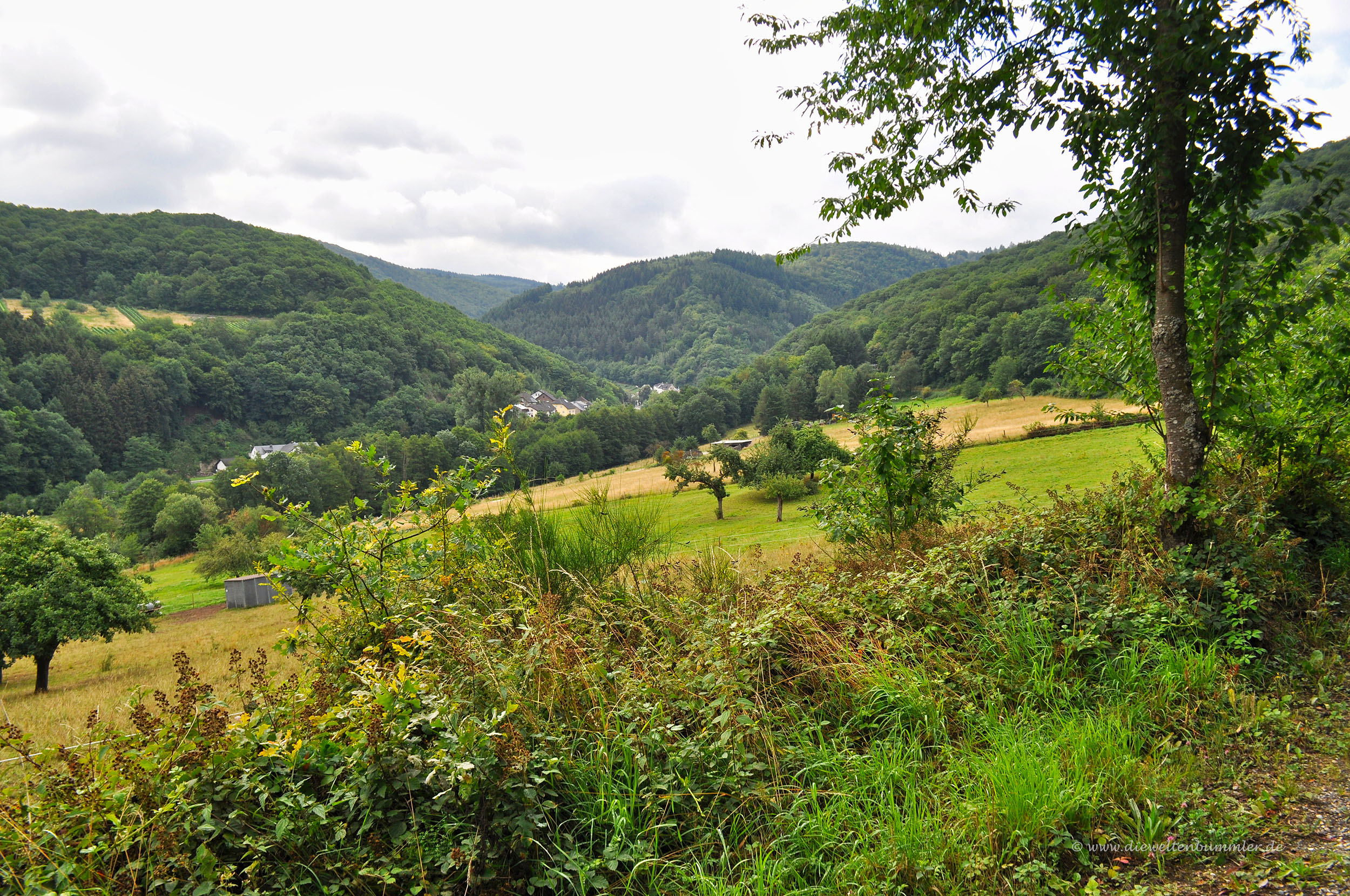 Wanderung im Dhrontal