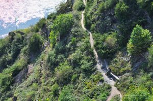 Wanderweg durch den Calmont-Klettersteig