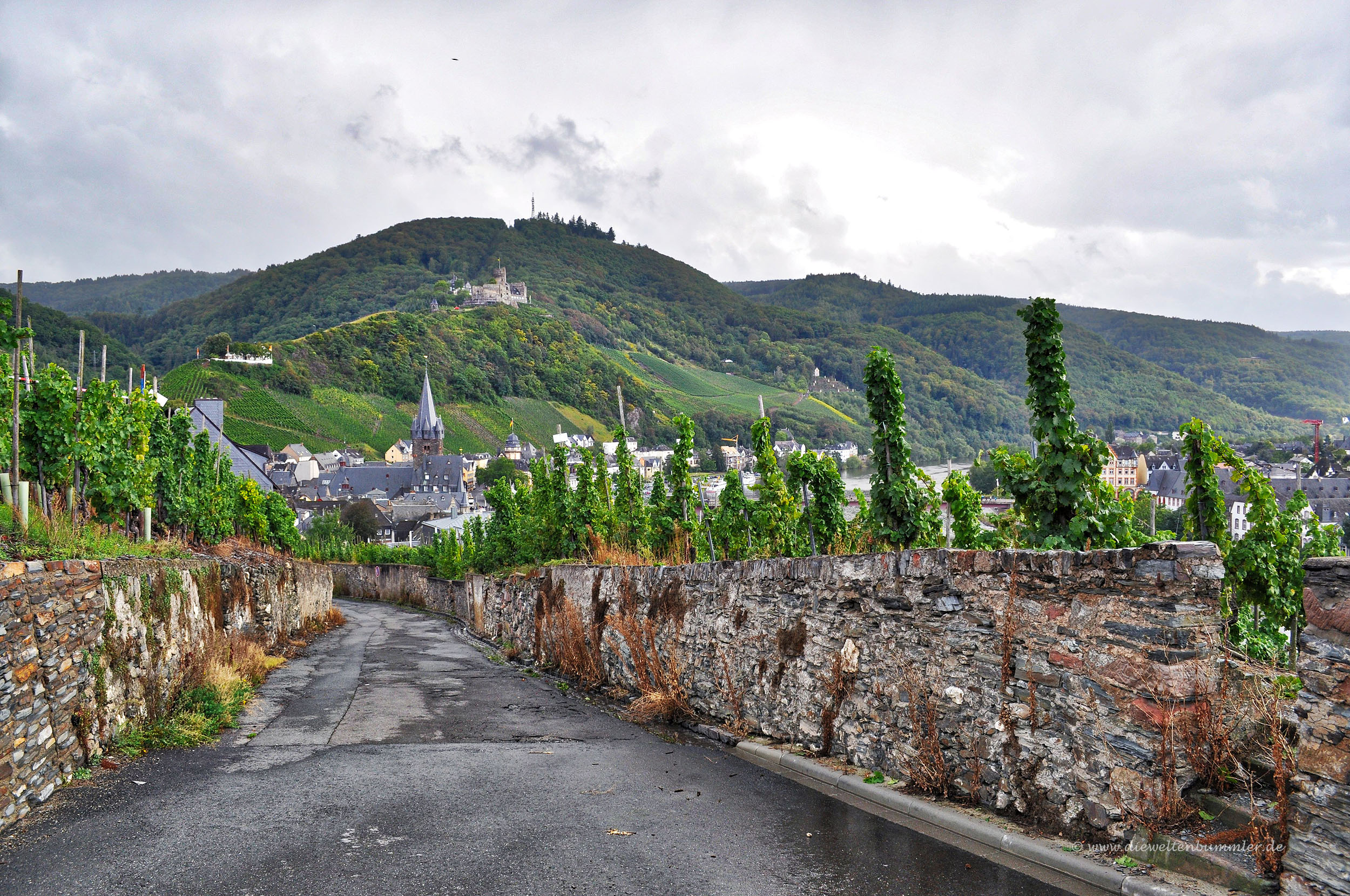 Wanderweg durch die Weinberge