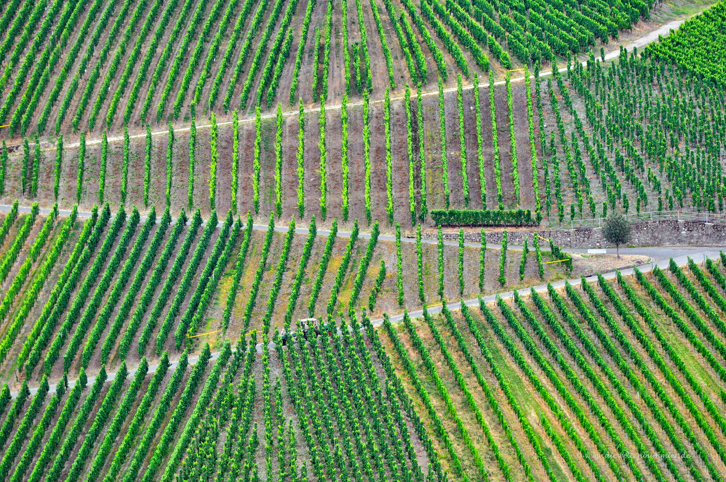 Wein über Wein