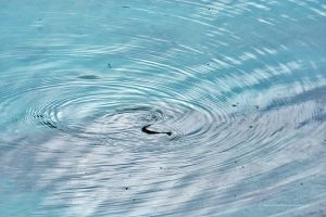 Schlange auf dem Wasser