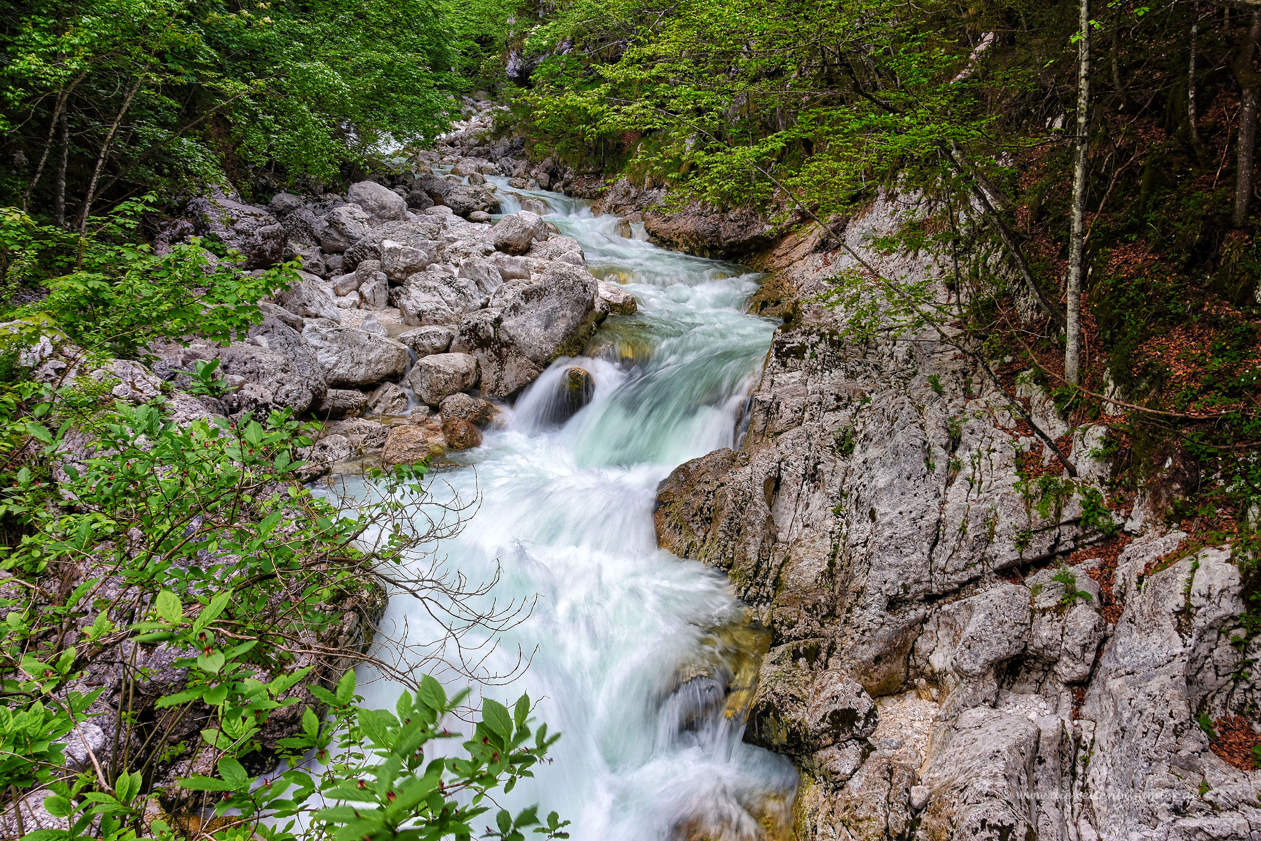 Rauschender Gebirgsbach