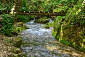 Kleiner Fluss Kamniška Bistrica