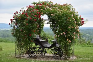 Kutsche im Schlosspark