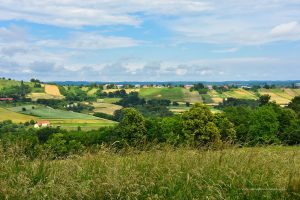 Landschaft im östlichen Slowenien