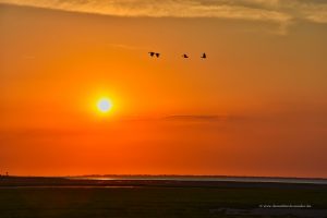 Abendstimmung in Ostfriesland