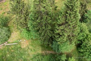 Blick in die Tiefe vom Kellerwaldturm