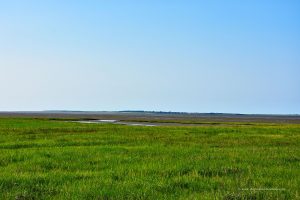 Ein erster Blick nach Langeoog