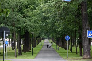 Lange Allee in Bad Arolsen