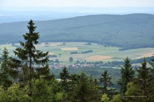 Umgebung am Kellerwaldturm
