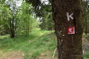 Wandern auf dem Kellerwaldsteig