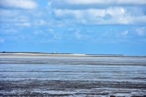 Die Insel Minsener Oog