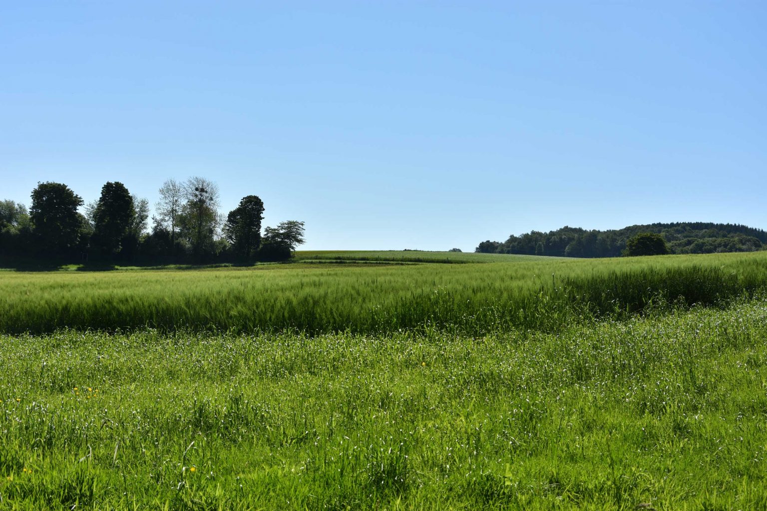 Landschaft