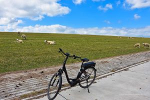 Mit dem E-Bike am Deich