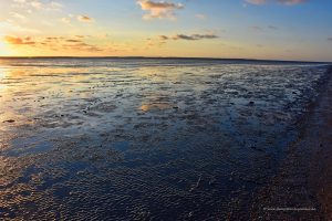 Wattenmeer