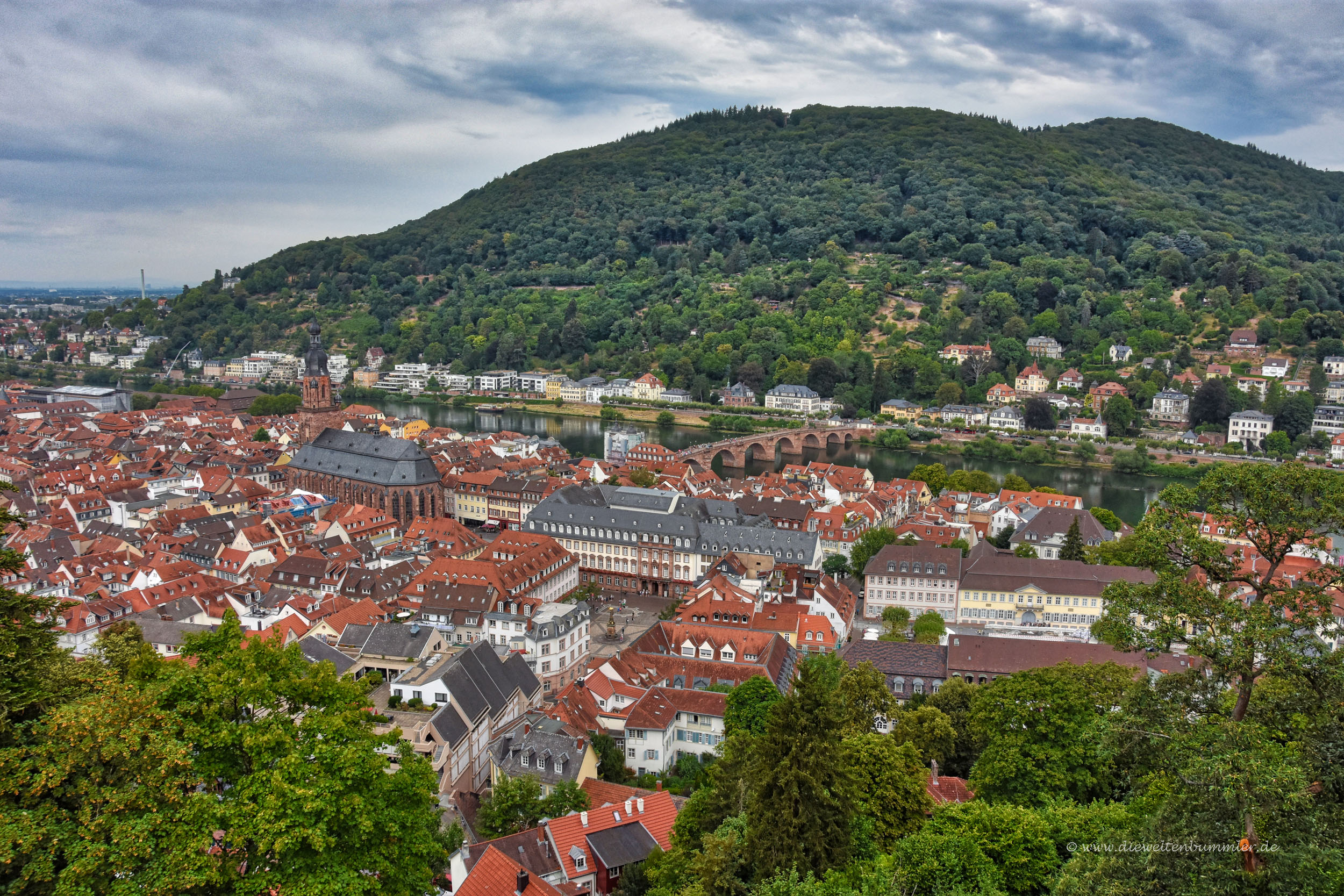Ausblick über Heidelberg