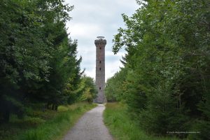 Hohlohturm im Schwarzwald