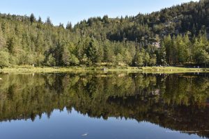 Kleiner See am Floyen