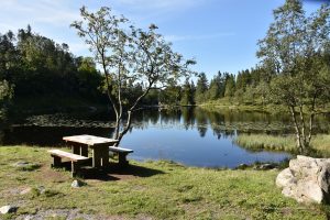Rundgang um den See