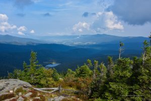 Bayerischer Wald