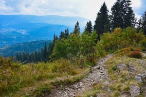 Wanderweg auf den Gipfel