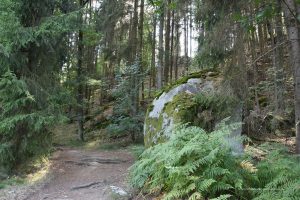 Felsen im Waldnaabtal