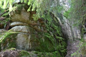 Waldnaabtal