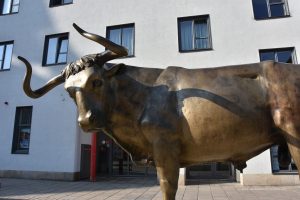 Stier in Auerbach