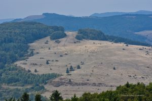 Landschaft im Sinnquellgebiet