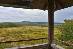 Aussichtsturm im Roten Moor