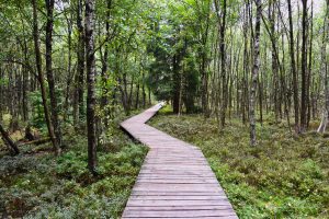 Wanderweg in der Rhön