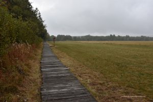 Weg in das Schwarze Moor