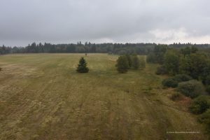 Ausblick am Schwarzen Moor