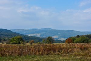 Blick bis zur Wasserkuppe