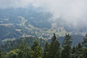 Ausblick am Blauen
