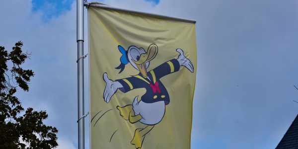 Flagge mit Donald