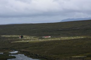 Landschaft in Island