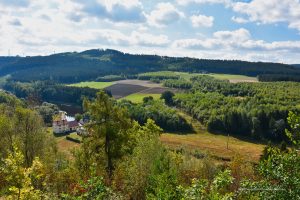 Blick vom Skywalk